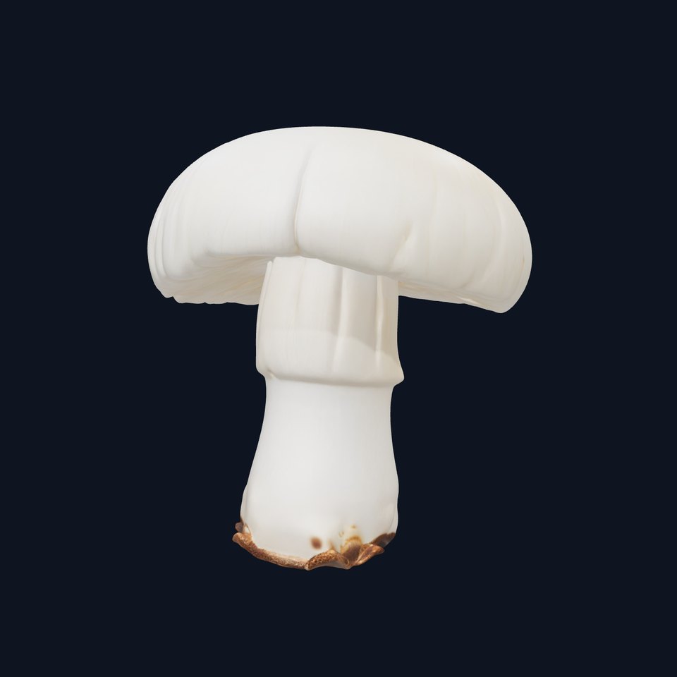 Young Mushroom Realistic model pack